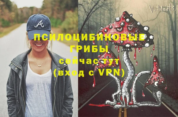 амфетамин Гусев