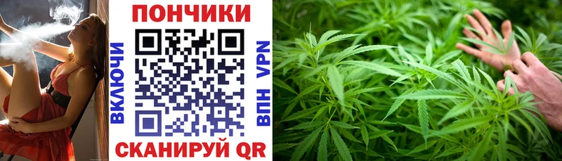 Купить закладки  Лесной  Шишки марихуана MAZAR 